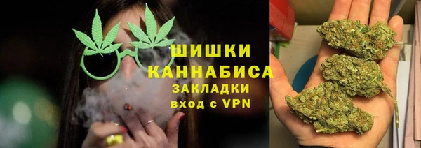 сатива Алзамай