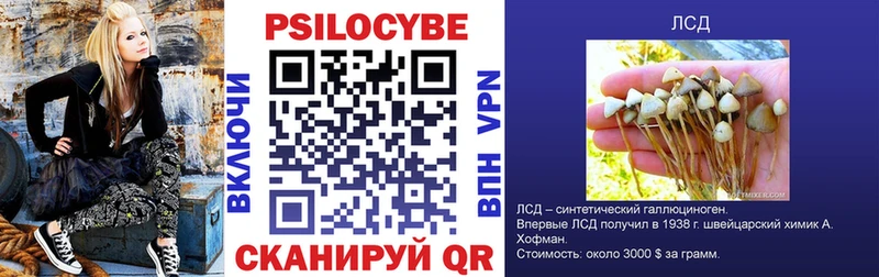 Псилоцибиновые грибы мицелий  купить наркотики цена  Кремёнки 